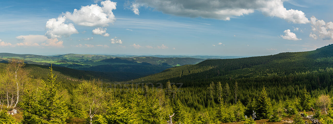 dsc 6919 panorama